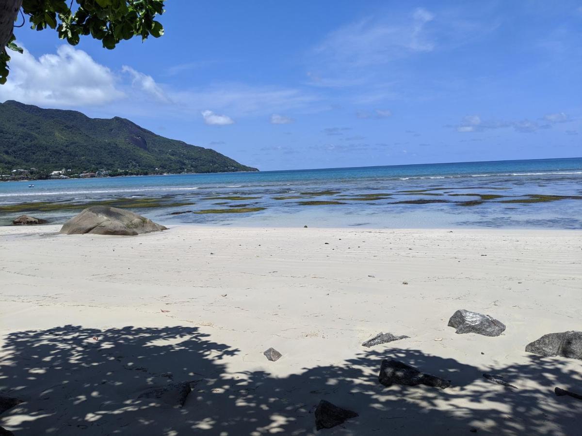 Hotel The Beach House Beau Vallon  Esterno foto